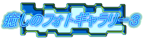 �����̃t�H�g�M�������[�R