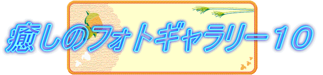 �����̃t�H�g�M�������[�P�O