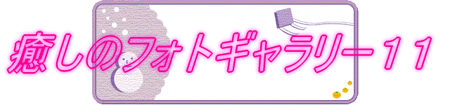 �����̃t�H�g�M�������[�P�O