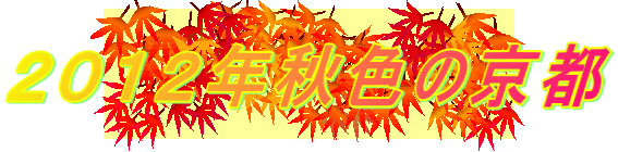 �Q�O�P�Q�N�H�F�̋��s 