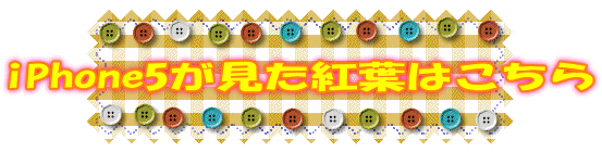 iPhone5�������g�t�͂�����