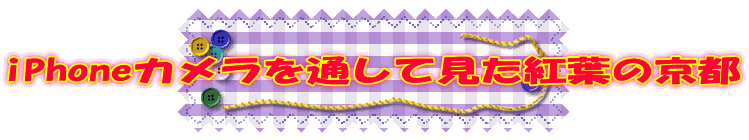 iPhone�J������ʂ��Č����g�t�̋��s