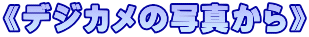 《デジカメの写真から》