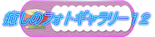 �����̃t�H�g�M�������[�P�Q