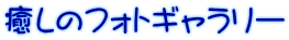 癒しのフォトギャラリー